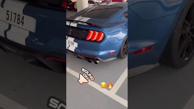 No V8 sounds better than the Shelby especially stock ? #shelbygt500 #v8 #dubai