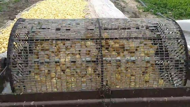 Мойка картофеля смотреть онлайн