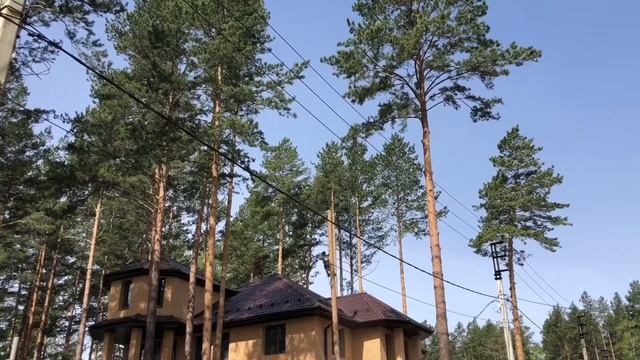 Иркутск Удаление 25 метровой сосны вблизи дома смотреть онлайн