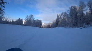 Встретили оленя! Обзор на горнолыжный курорт Манжерок, трассы и новый сноупарк, Горный Алтай.