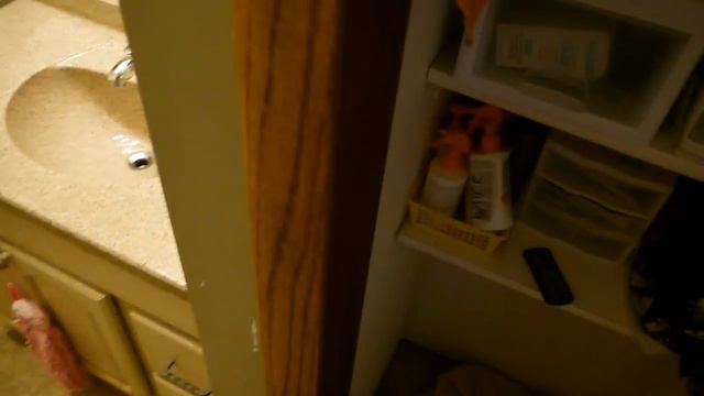 Cleaning The Kids and Main Bathroom смотреть онлайн