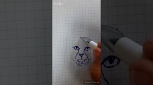 Как нарисовать пушистого кота синей ручкой для самых начинающих(поэтапно)рисуем мордочку котика