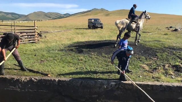 Как помыть две тысячи овец? смотреть онлайн