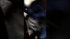 Ауди А3 снимаем генератор