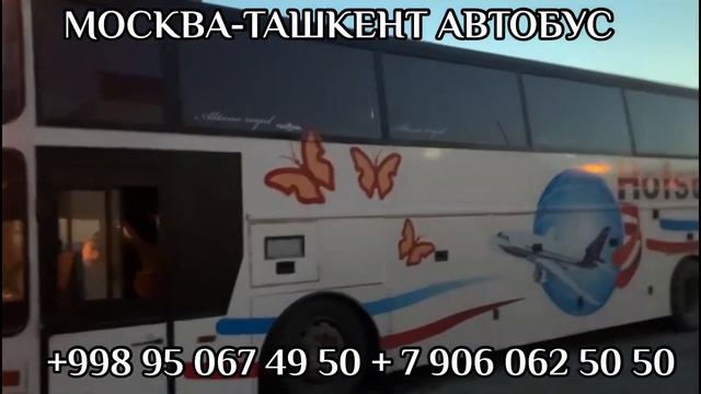 Москва Ташкент автобус #москва #ташкент #автобус