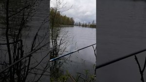 ловля форели в тверской области