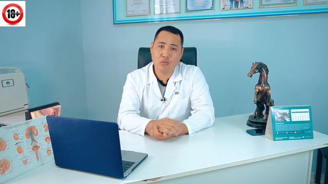Еркектің мүшесі таңертең не үшін Тұрып тұрады? Еркектің мүшесін қалай тұрғызады?