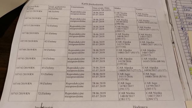 Продажа маток 2020 год смотреть онлайн