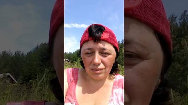 Сбор гороха в Финляндии ( Suomi) Часть 1 смотреть онлайн