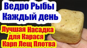 Насадка на Карася Карп Лещ Супер Рыболовная Насадка для карася