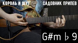 Садовник Король и Шут | Аккорды | На гитаре | Припев