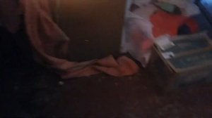 Канниболизм. Расклев у перепелов. Причины.