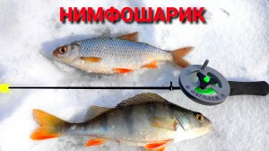 НИМФОШАРИК ловит и на ОКЕ. Рыбалка на реке в конце февраля.