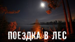 Страшные Истории. ПОЕЗДКА В ЛЕС. Ужасы.