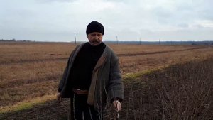 Черная смородина сорт Ядрёная