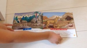 Животные леса 3 часть