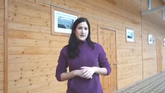 Поездка кружка Юнный эколог в приют собак