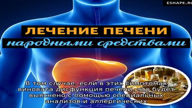 Какой специалист занимается лечением печени