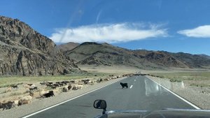 Монголия. Платные дороги_пробки.MOV