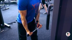 REVERSE GRIP TRICEPS PUSHDOWN | РАЗГИБАНИЕ РУК ВЕРХНЕГО БЛОКА ХВАТОМ СНИЗУ