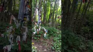 Поездка на Анисьины грядки