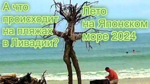 Как сейчас в Ливадии-2024