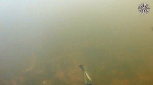 Подводная охота на реке Угра осенью 2021. Подкачал прозрак