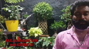 Bonsai|indoor&outdoor plants|anthurium varieties|varieties of moneyplant|plant stand|zz plant