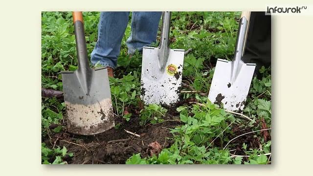 Приборы, которые помогают изучать окружающий мир