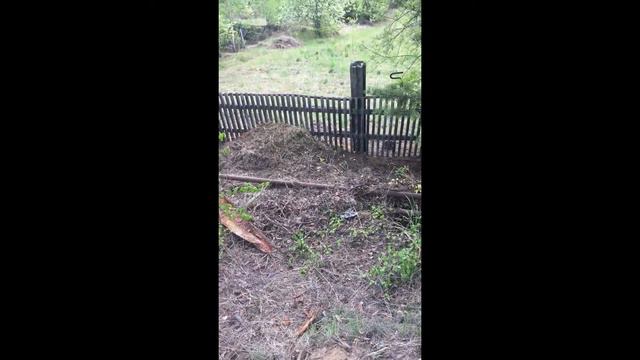 170. 04.06.20г. Красота вокруг нас! Нужно только замечать. Змеи вокруг нас. Их тоже нужно замечать