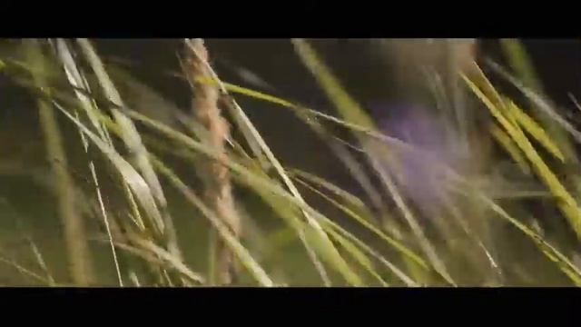 Свадебный ролик моих родителей смотреть онлайн