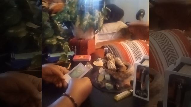 #Capricorn Oracle Don't take yourself for granted. #The Greatness of you Capricorn will always shin смотреть онлайн