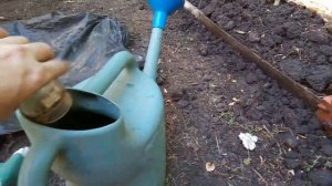 Парник на биотопливе (часть 3)