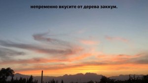 Чтение Корана. Мухаммад-Шариф Эльджаркиев. Сура 56.