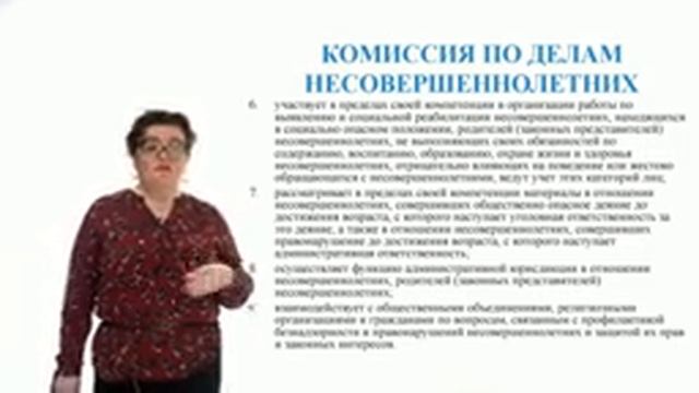 Видеоурок «Правоохранительные органы»