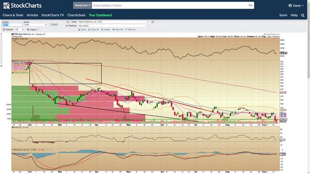"WOW" Is this the big Stock Market crash. Is the Bear here to stay?
