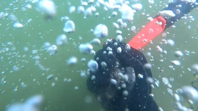 ПОДВОДНЫЙ ПОИСК КОП ВЫБИВАЮ ЗОЛОТОЙ ПЛЯЖ ПОД ВОДОЙ с эквинокс 600 смотреть онлайн