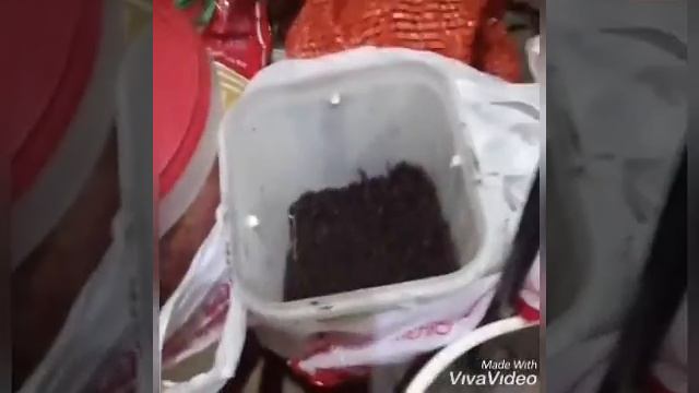 Рыбалка на Иртыше с ночёвкой. Дело было вечером, делать было нечего. смотреть онлайн