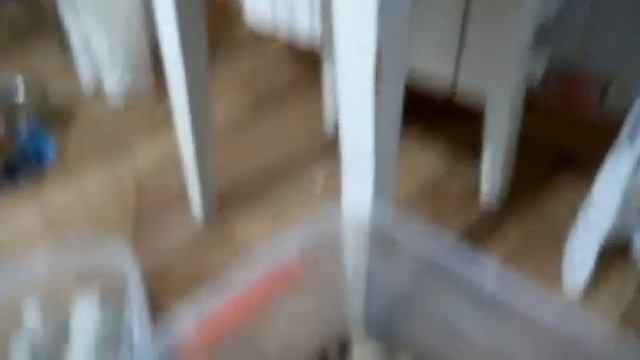 Как чистить тараканов и никого не выбрасывать смотреть онлайн