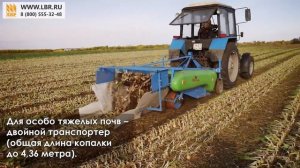 Копалка для лука Krukowiak – обзор