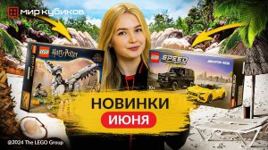 50 НОВИНОК LEGO® I Мандрагора I Король Лев I Миньоны I Люди Икс I Нотр-Дам-де-Пари I