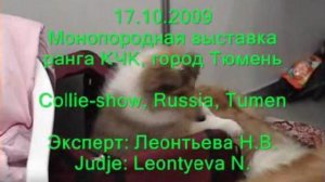 17.10.2009 Монопородная выставка колли класса КЧК, город Тюм