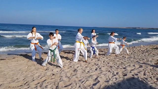 Крым 2018 Шинкиокушинкай каратэ Краснодар