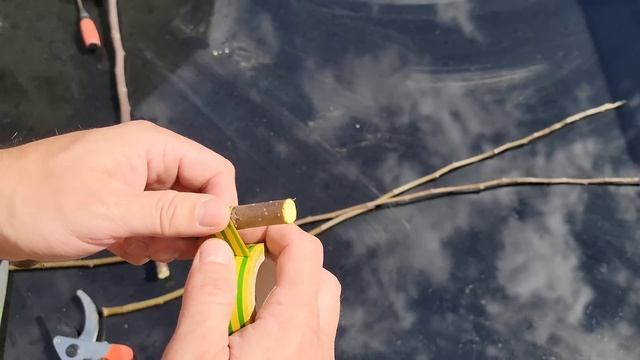 Altoirea pomilor fructiferi pentru începători! смотреть онлайн