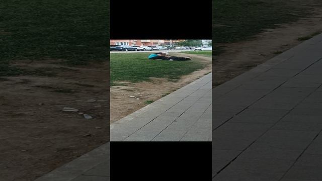 День молодежи