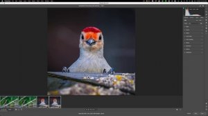 NEW FEATURE! SUPER RESOLUTION in Photoshop