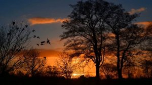 По улице моей который год звучат шаги..  Белла Ахмадулина (слушать стихи)