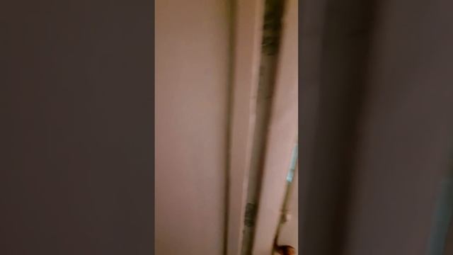 Купили убитую однокомнатную квартиру с тараканами в Хрущевке на 5-ом этаже. Рум тур