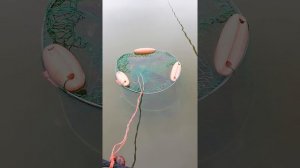 Ловля крупного карася на реке Берекет.