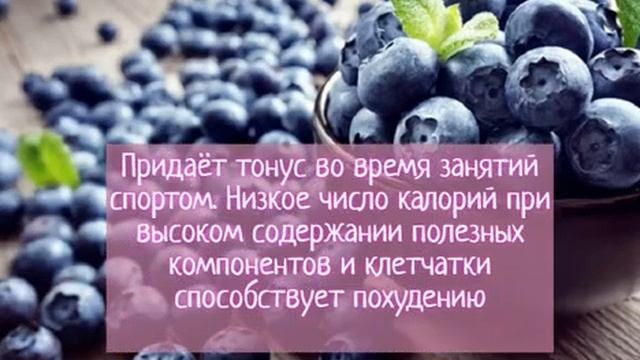 В чём польза черники? Химический состав черники смотреть онлайн